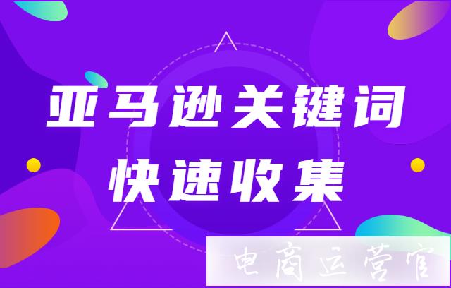 亞馬遜關(guān)鍵詞如何快速收集?數(shù)派跨境幫你快速收集亞馬遜精準關(guān)鍵詞